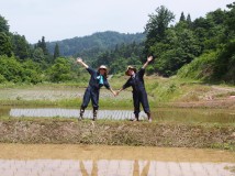 田んぼ